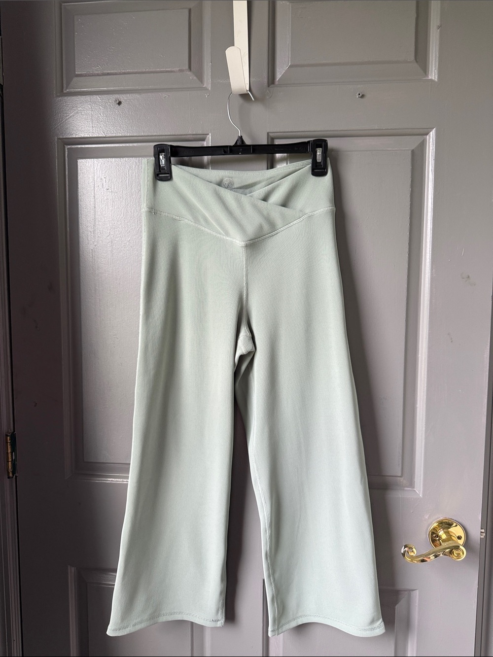 High-Rise Wide Leg Pants in Light Mint
